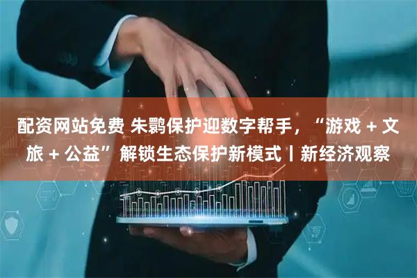配资网站免费 朱鹮保护迎数字帮手，“游戏 + 文旅 + 公益” 解锁生态保护新模式丨新经济观察